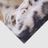 横たわるユキヒョウ 薄葉紙 (詳細)
