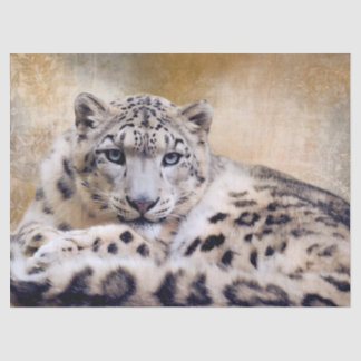 横たわるユキヒョウ 薄葉紙