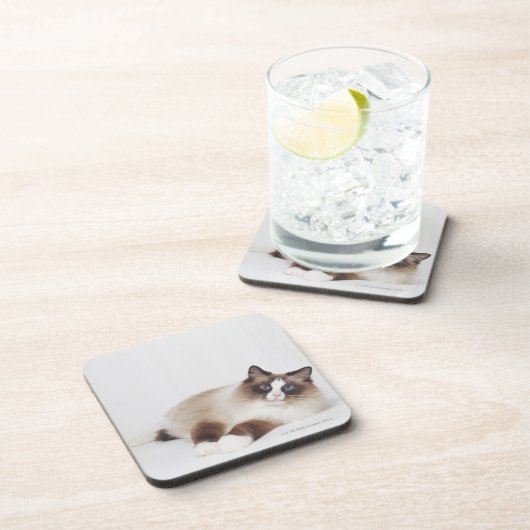 横たわる猫 コースター (右側)