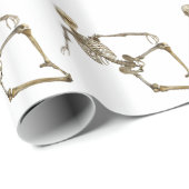 横たわる骨組 ラッピングペーパー (ロールコーナー)