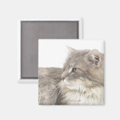 横になった猫 マグネット (正面/裏面)