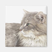 横になった猫 マグネット (正面)