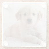 横になっているゴールデン・リトリーバー ガラスコースター (裏面)