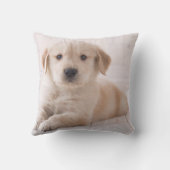 横になっているゴールデン・リトリーバー クッション (裏面)