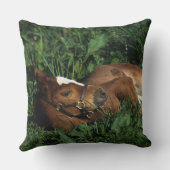 横になっている純血種の子馬 クッション (裏面)