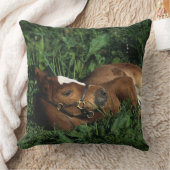 横になっている純血種の子馬 クッション (ブランケット)