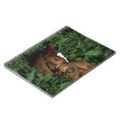 横になっている純血種の子馬 ノートブック (左側)