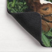 横になっている純血種の子馬 マウスパッド (コーナー)