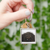 横になっているPekingese黒い犬 キーホルダー (手)