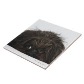 横になっているPekingese黒い犬 タイル (側面)