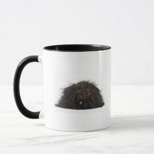 横になっているPekingese黒い犬 マグカップ