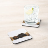 横になっているPekingese 3匹の犬および独身のなパグ コースター (右側)