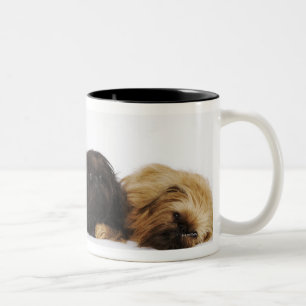 横になっているPekingese 3匹の犬および独身のなパグ ツートーンマグカップ