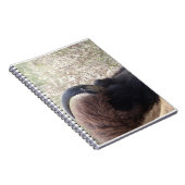 横になるバイソンの頭部 ノートブック (右側)