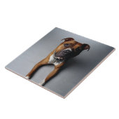 横になるピット・ブルテリア タイル (側面)