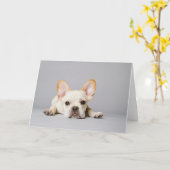 横になフランスのったブルドッグ カード (黄色い花)