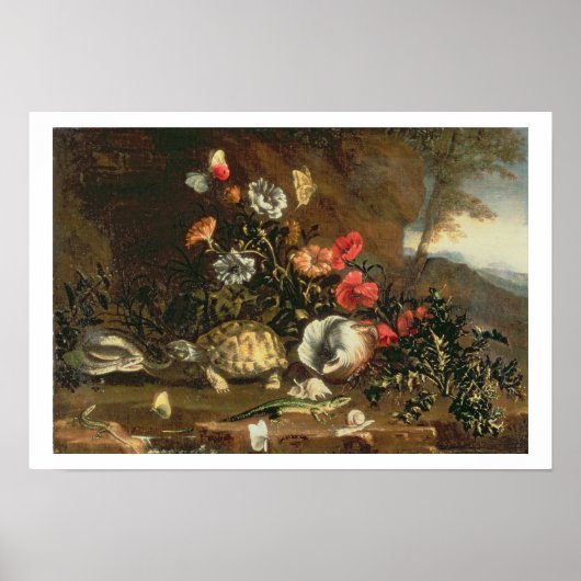 横にアザミ、花、爬虫類、蝶 ポスター (正面)