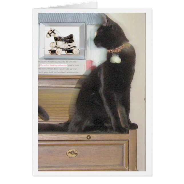 横に見ること (正面)