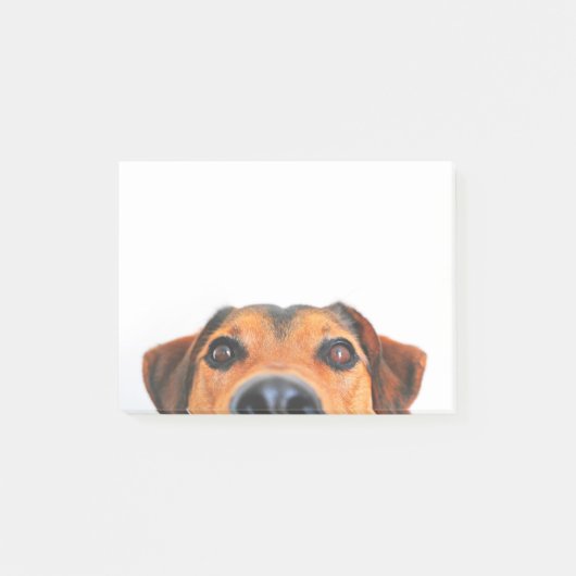 横のかわいい犬鼻 ポストイット (正面)