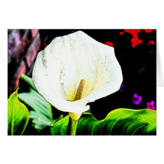 横のオランダカイウ