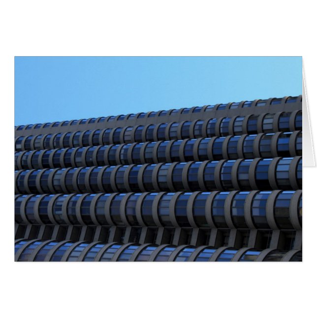 横の世界 (正面横)