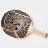 横を向くチーター 卓球ラケット (横)