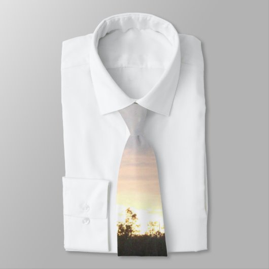 横タイ ネクタイ (タイ)