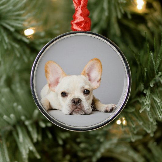 横フランスのたわるブルドッグ メタルオーナメント (ツリー)