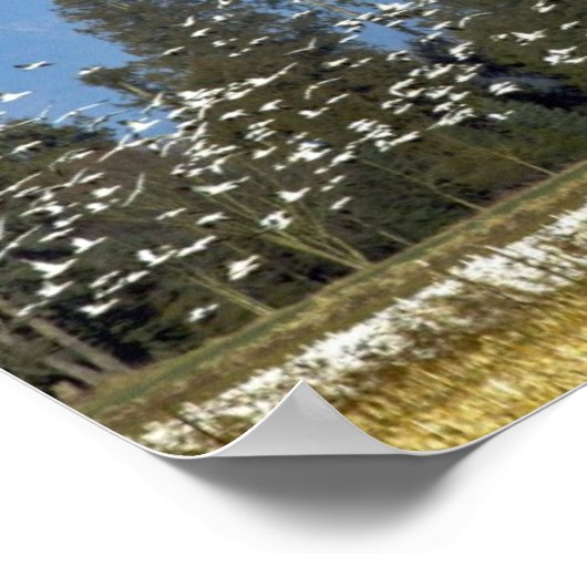 横向きポスター: Mt. Baker with Snow Geese ポスター (角)