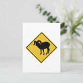 横断山羊，交通標識，カナダ ポストカード (スタンド正面)