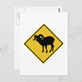 横断山羊，交通標識，カナダ ポストカード (正面/裏面)