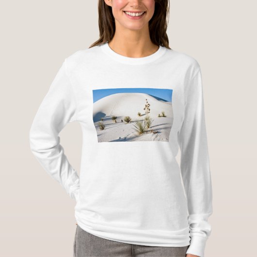 横断砂丘とソープツリー・ユッカ Tシャツ (正面)