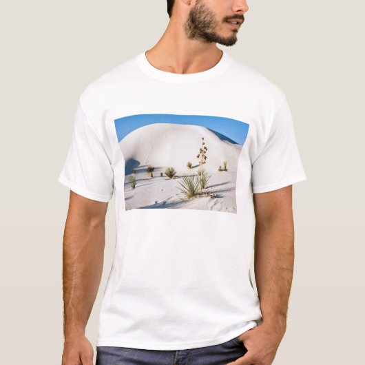 横断砂丘とソープツリー・ユッカ Tシャツ (正面)