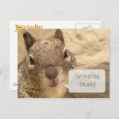 横書きポストカード – 笑顔 ポストカード (正面/裏面)