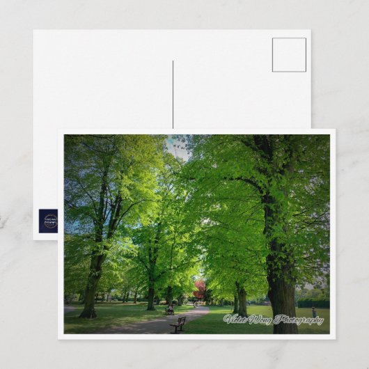 横書き1葉書 ポストカード (正面/裏面)