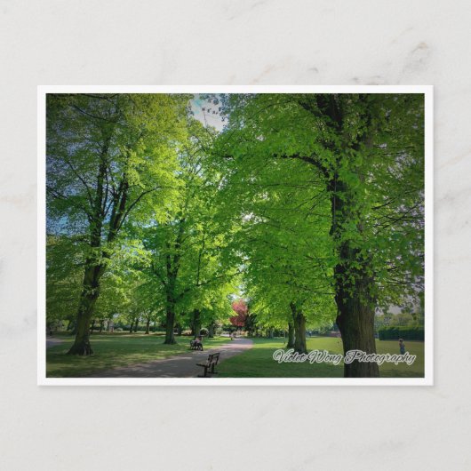 横書き1葉書 ポストカード (正面)