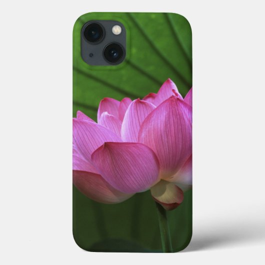 横浜三渓園大賀蓮 Case-Mate iPhoneケース (裏面)