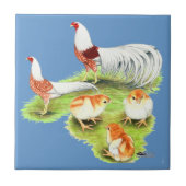 横浜赤肩ファミリー タイル (正面)