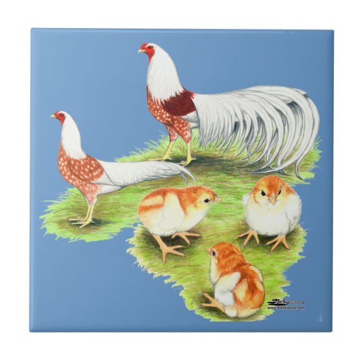 横浜赤肩ファミリー タイル (正面)