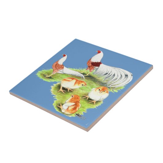 横浜赤肩ファミリー タイル (側面)