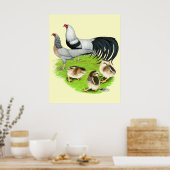 横浜銀家 ポスター (キッチン)