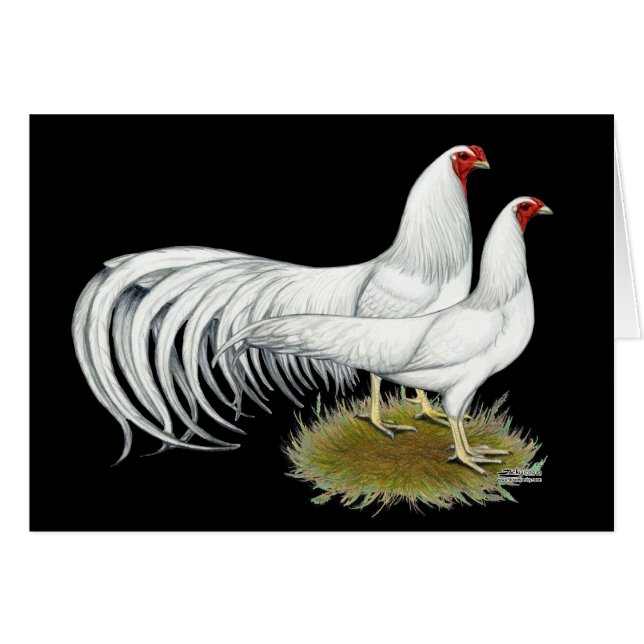 横浜：ホワイト・ペア (正面横)