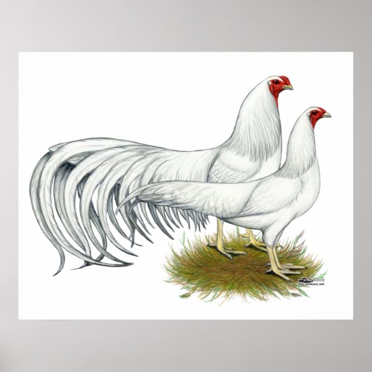 横浜：ホワイト・ペア ポスター (正面)