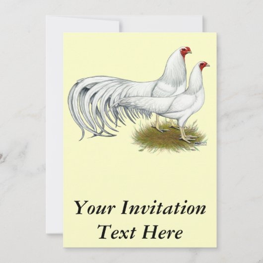 横浜：ホワイト・ペア 招待状 (正面)