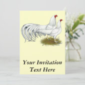 横浜：ホワイト・ペア 招待状 (スタンド正面)