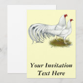 横浜：ホワイト・ペア 招待状 (正面/裏面)