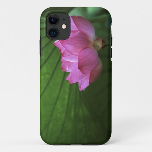 横浜·三渓園おがろうたん Case-Mate iPhoneケース (裏面)