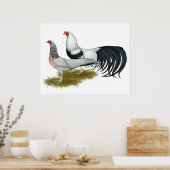 横浜：銀ダックウィングペア ポスター (キッチン)