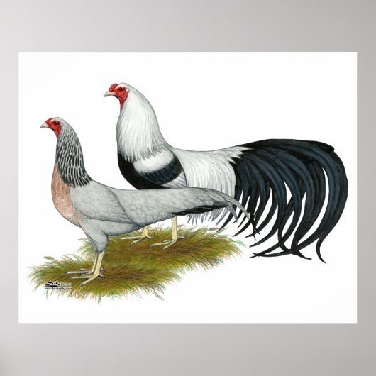 横浜：銀ダックウィングペア ポスター (正面)