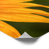 横目でのプレスコット体験 ポスター (角)